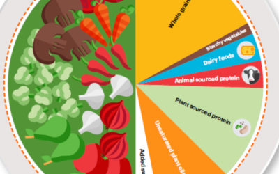 EAT- Lancet Commission Introduces New Food Guide Based on Health and Sustainability.